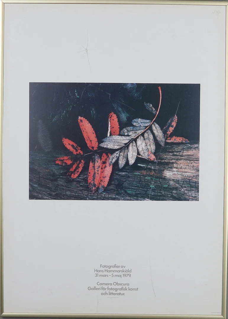 UTSTÄLLNINGSAFFISCH, Fotografier av Hans Hammarskiöld 31 mars-5 maj 1979, Camera Obscura Galleri för fotografisk konst och litteratur. — Engravings & Prints — Gomér & Andersson Norrköping