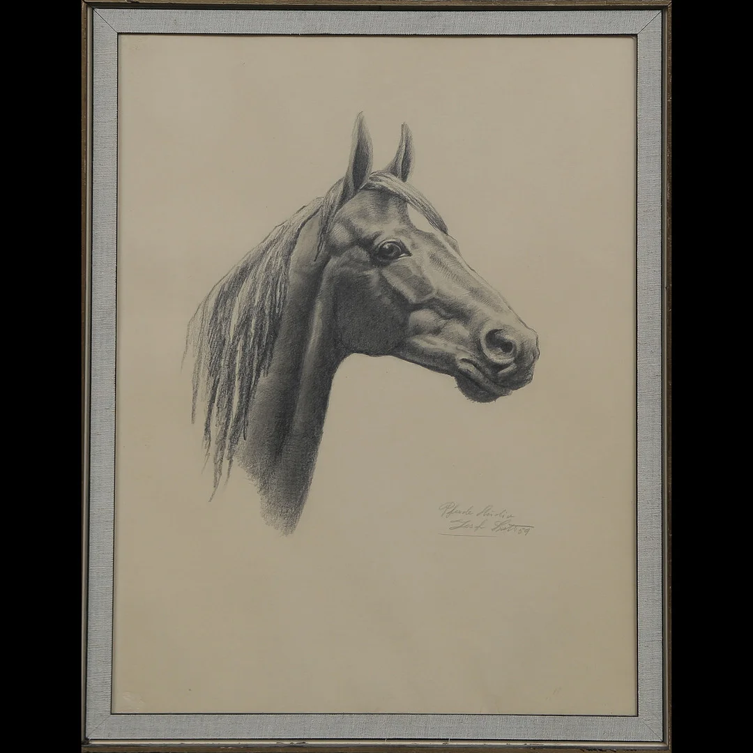 JOSEF SCHOTT "PFERDE-STUDIE" HÄSTSTUDIE, SIGNERAD, DATERAD 1959, INGLASAD. — Drawings — Auktionskammaren Sydost Kalmar