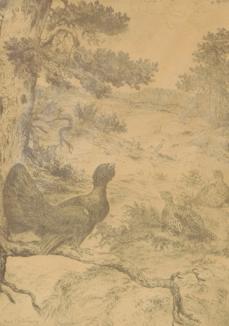 AXEL ÖSTERBERG. Landskap med fåglar, etsning, signerad. — Engravings & Prints — Helsingborgs Auktionskammare