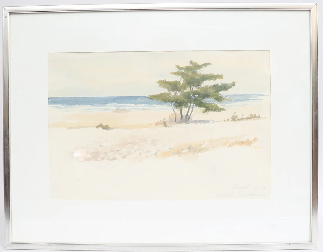 OIDENTIFIERAD KONSTNÄR. Strandbank, akvarell, signerad Carl S. — Paintings — Falun Auktionsbyrå