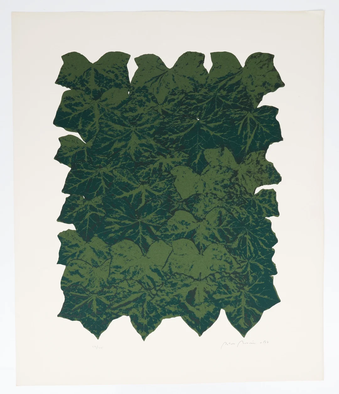 Peter Bonnén (1945-2022): Accumulation of Ivy Leaves. Lithograph in colors. 1977. — Paintings and sculptures/Prints and photography — Lauritz