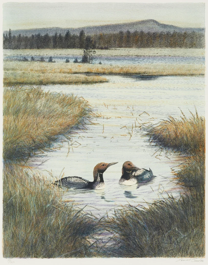 LENNART SAND. "Änder i vattendrag", signerad, daterad 96, numrerad 71/360, färglitografi. — Engravings & Prints — Crafoord Auktioner Stockholm
