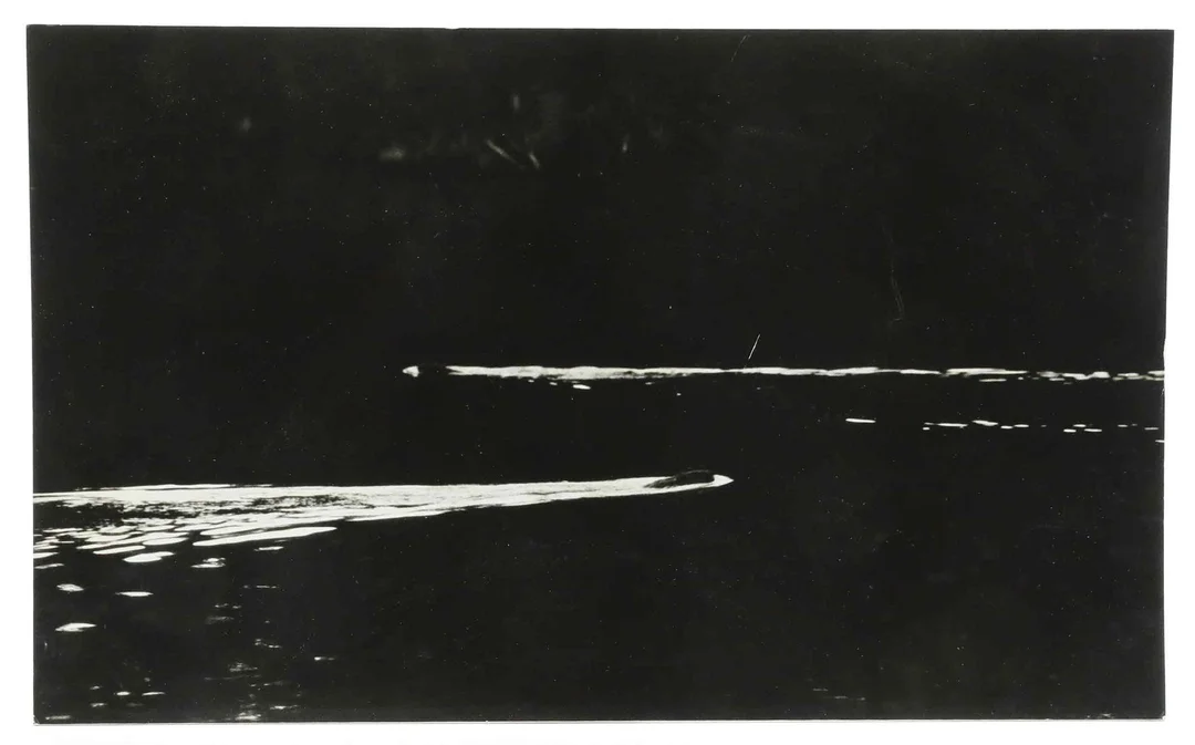SVEN GILLSÄTER (1921-2001). Fotografi, bävrar i damm, 1970-tal. — Photography — Hälsinglands Auktionsverk