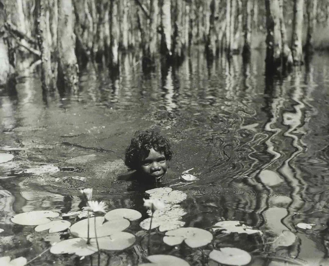 SVEN GILLSÄTER. Fotografi, badande barn, näckrosor, 1900-tal. — Photography — Hälsinglands Auktionsverk