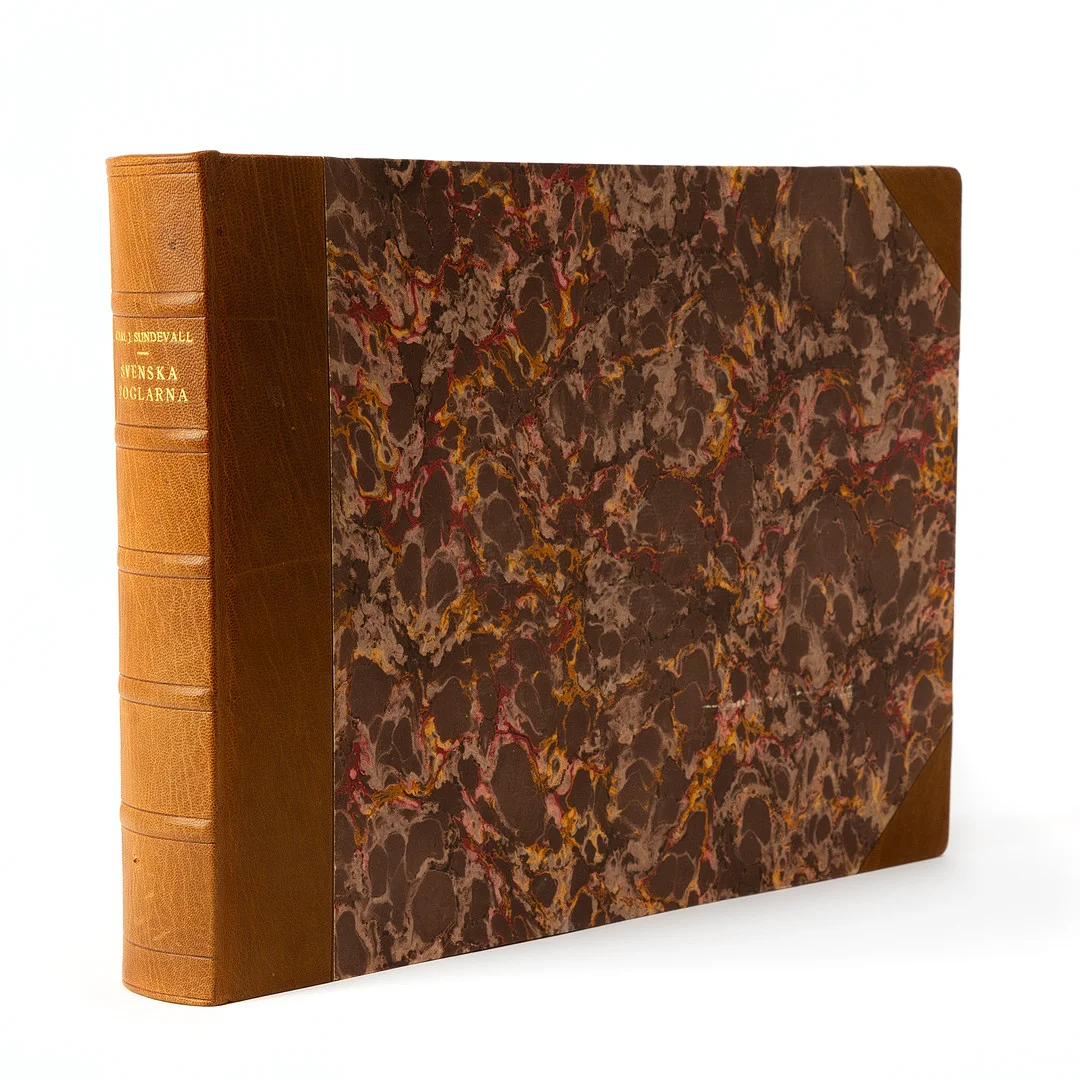 SUNDEVALL. "Svenska Foglarna", J & A Riis, 1856. — Books — Stockholms Auktionsverk Göteborg