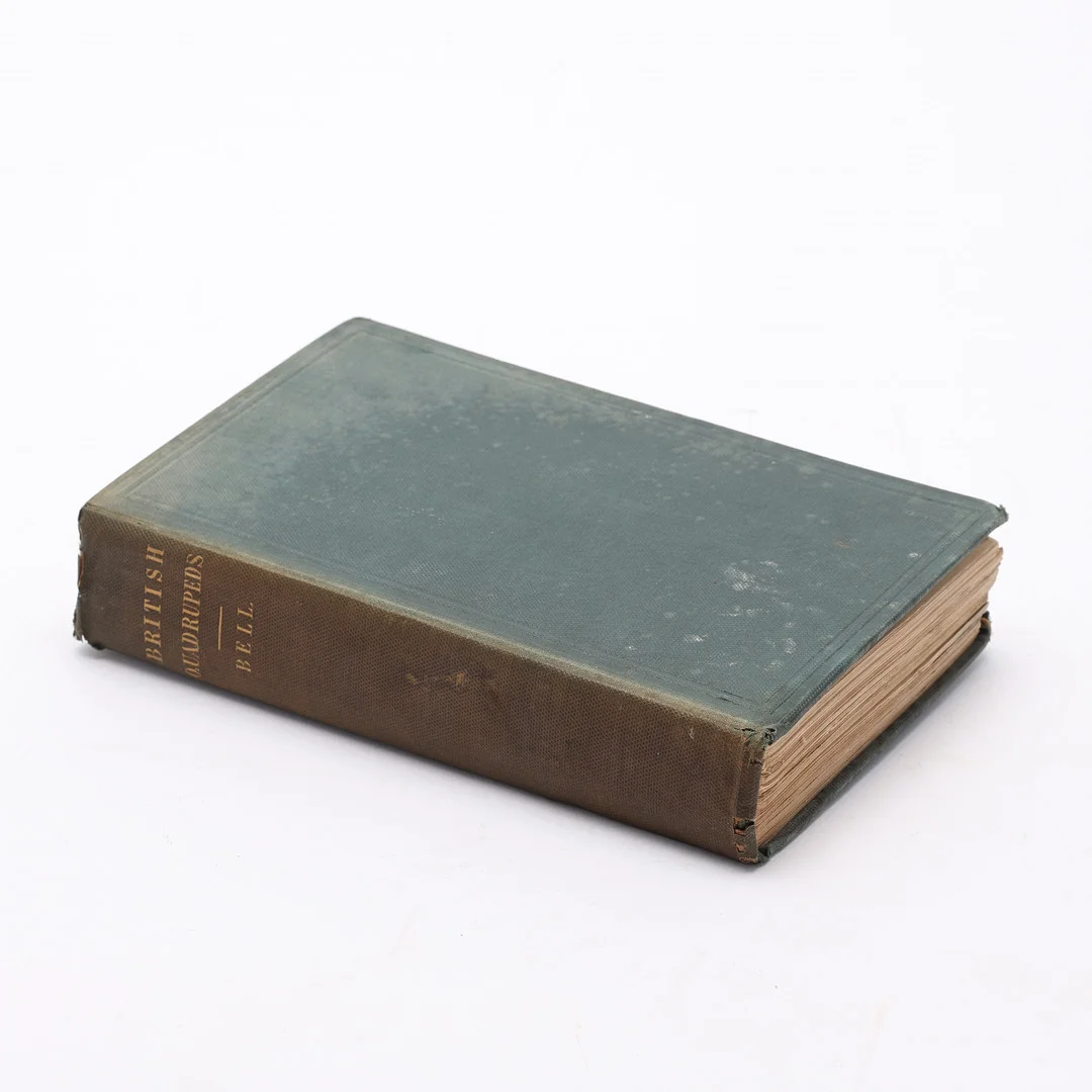 THOMAS BELL. "A History of British Quadrupeds, including the Cetacea", London 1837. — Books — Uppsala Auktionskammare