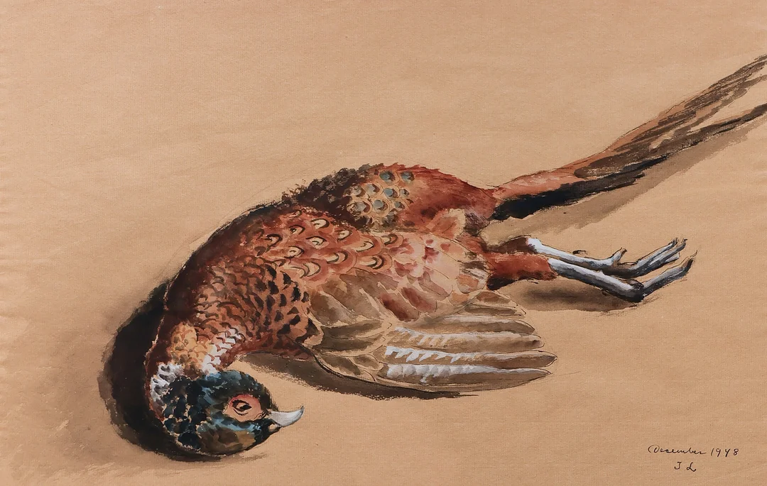 UBEKENDT KUNSTNER. Motiv med død fasan, akvarel, signeret og dateret 1948. — Drawings — Palsgaard Kunstauktioner