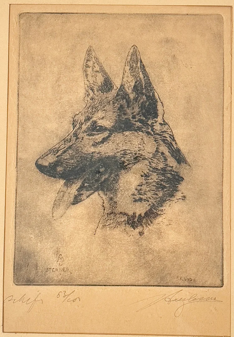 MALTE STERNER. GERMAN SHEPHERD / SCHÄFER. Etsning. — Engravings & Prints — Auktionshuset STO Bohuslän