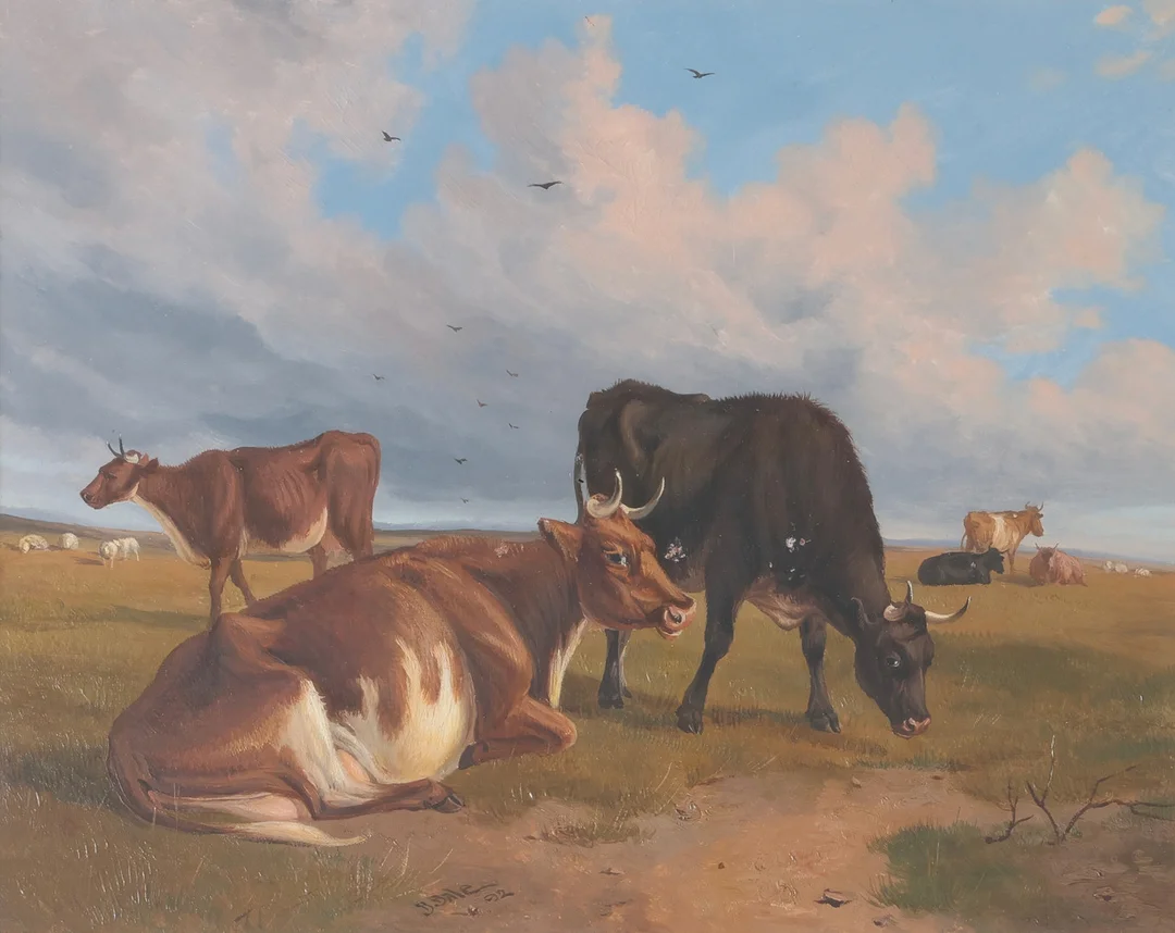 ENGLISH SCHOOL, LATE 19TH CENTURY, STUDY OF CATTLE. — Paintings — Young's Auctions