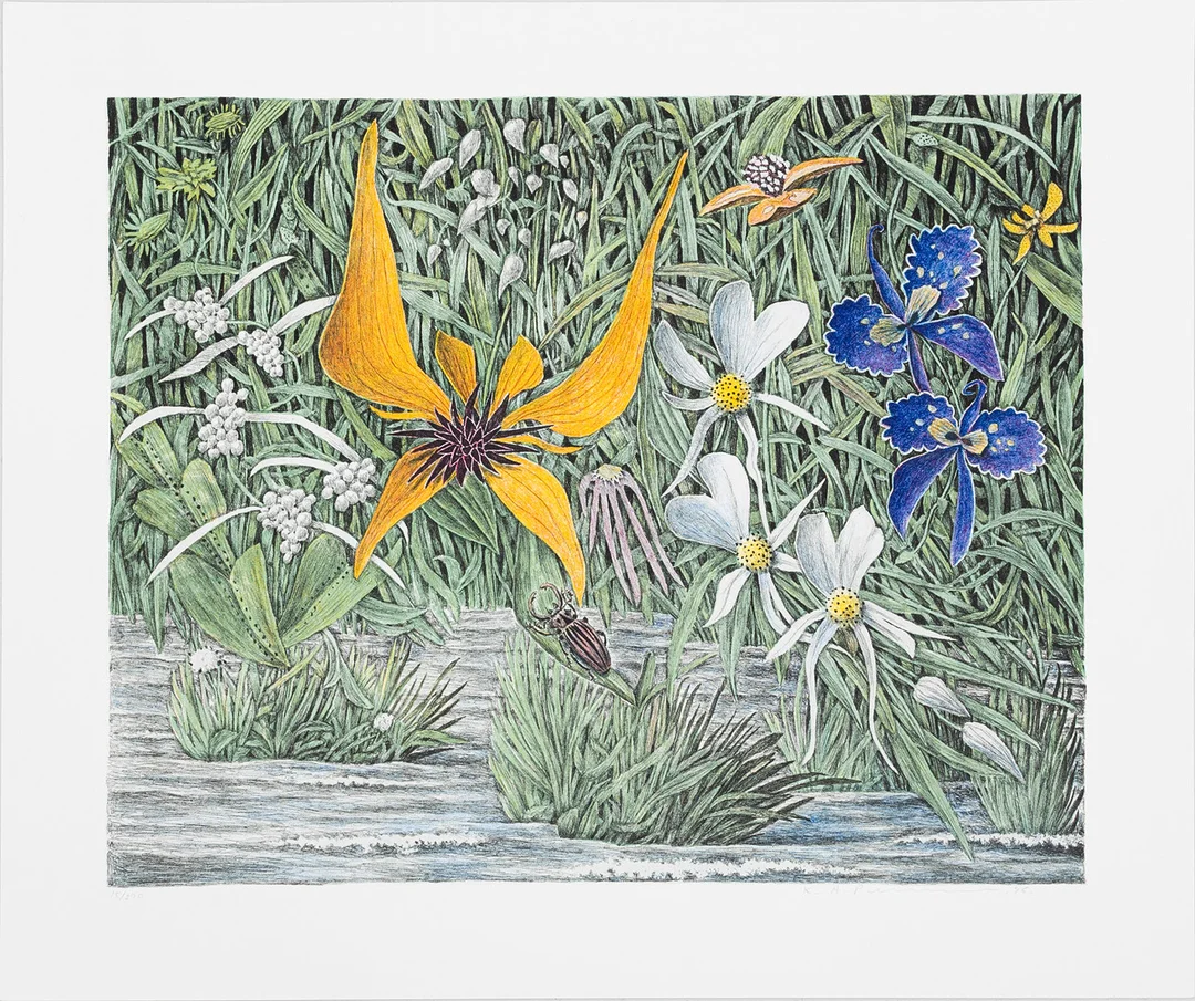 KARL AXEL PEHRSON. "Bäck i Segol", färglitografi, numrerad 15/290, signerad och daterad -96. — Engravings & Prints — Auktionshuset Kolonn