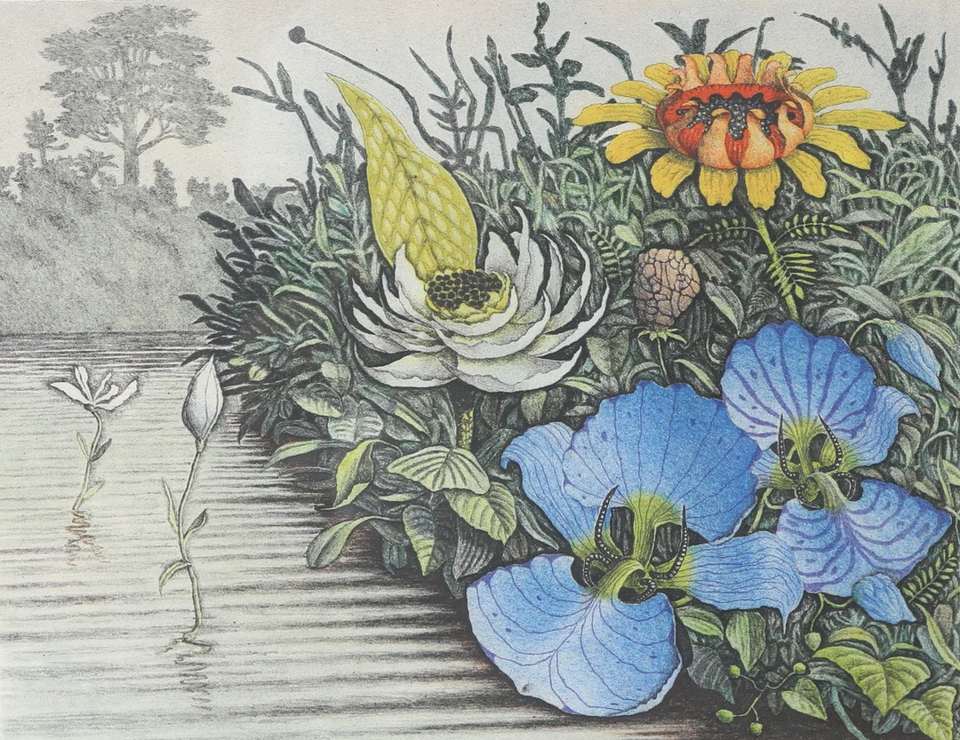 KARL AXEL PEHRSON. färglitografi, signerad, daterad 75 samt numrerad. — Engravings & Prints — Gomér & Andersson Linköping