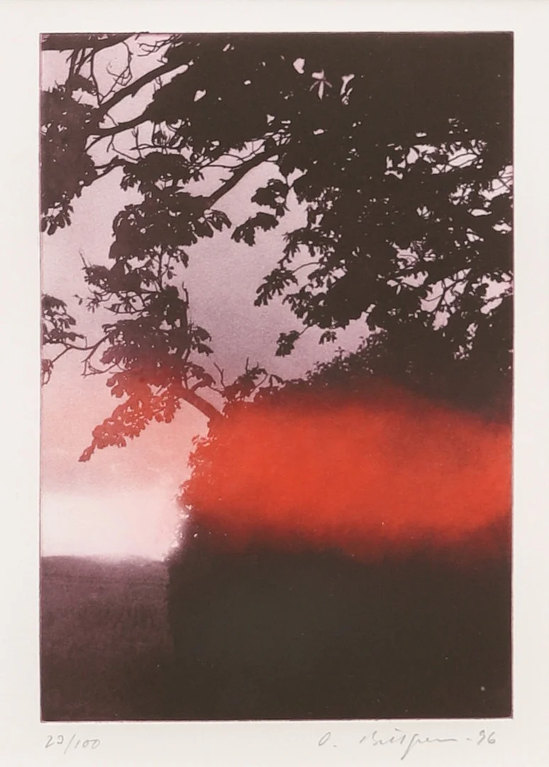 OLA BILLGREN. Fotogravyr, numrerad 23/100 samt signerad och daterad -96. — Engravings & Prints — Crafoord Auktioner Malmö