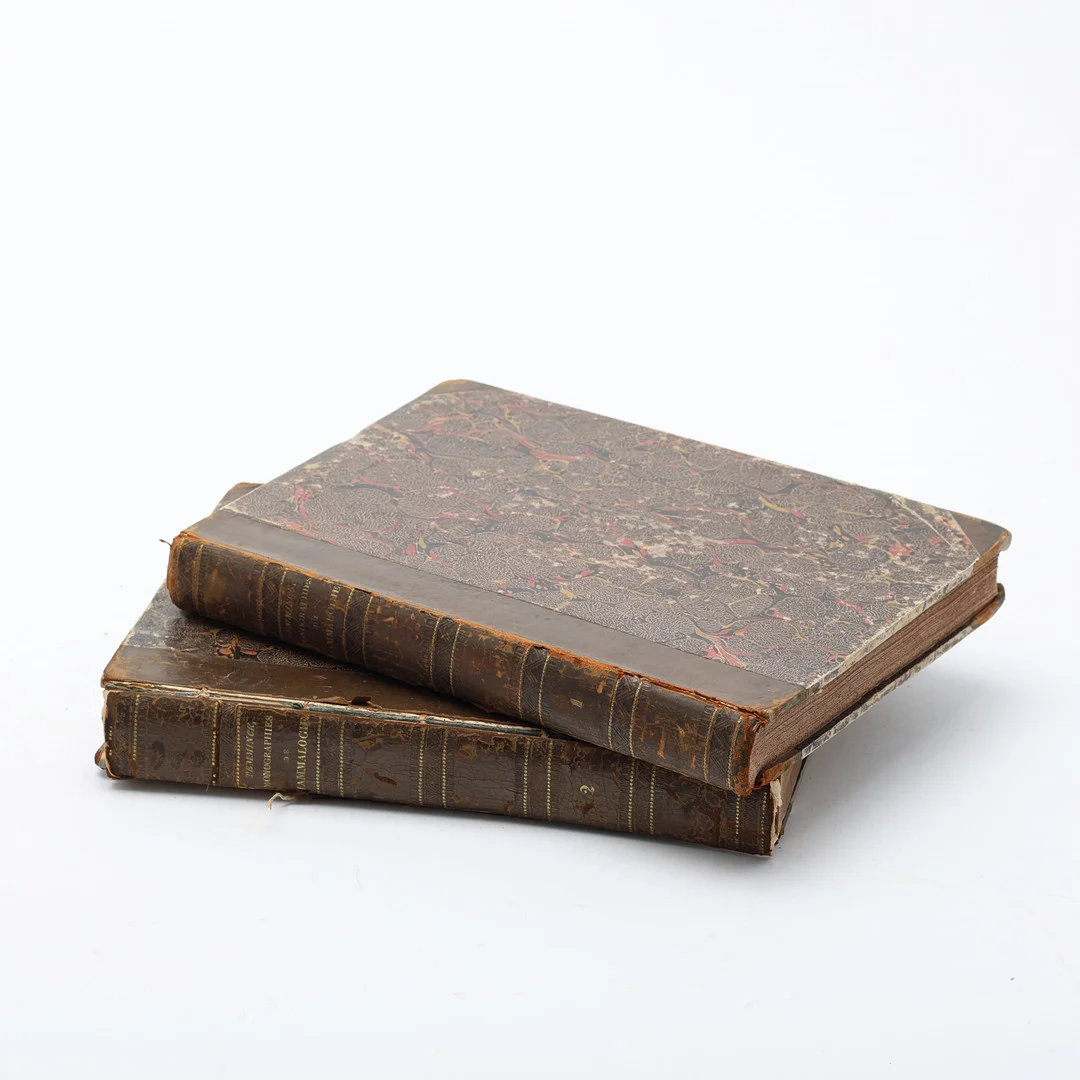 COENRAAD JACOB TEMMINCK. "Monographies De Mammalogie", 2 volymer. — Books — Uppsala Auktionskammare