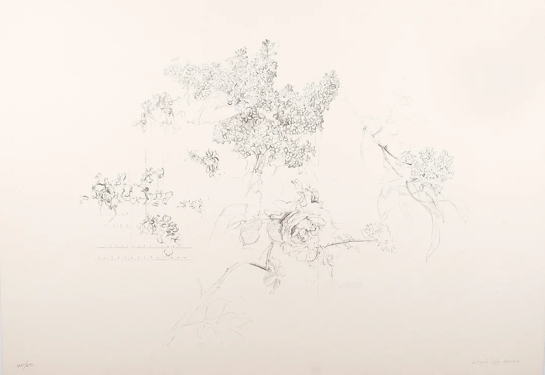 ANTONIO LÓPEZ. Sin título. — Engravings & Prints — Barcelona Auctions