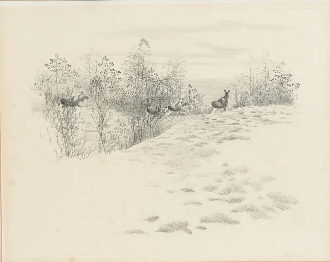 LENNART FRISK. Skogsbild med älgar, etsning, signerad och numrerad, daterad 83. — Engravings & Prints — Falun Auktionsbyrå