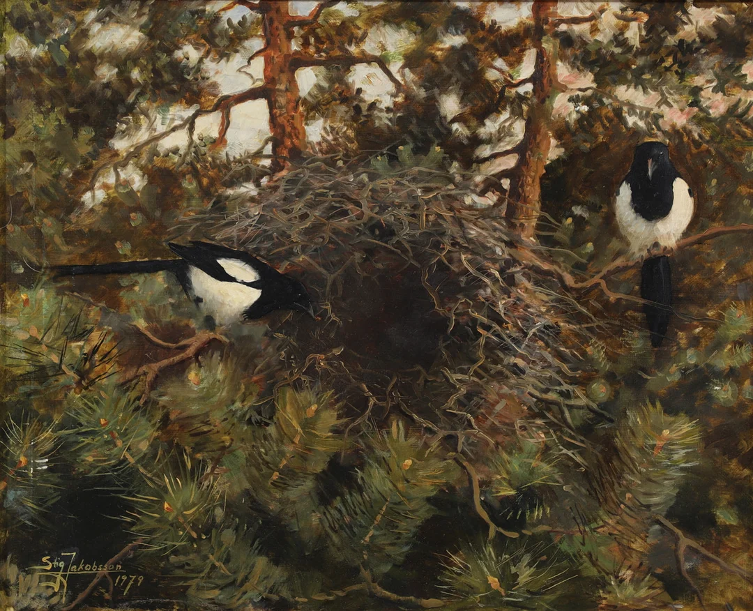 STIG JAKOBSSON. Skator. Olja på pannå, signerad och daterad 1979. — Paintings — Växjö Auktionskammare