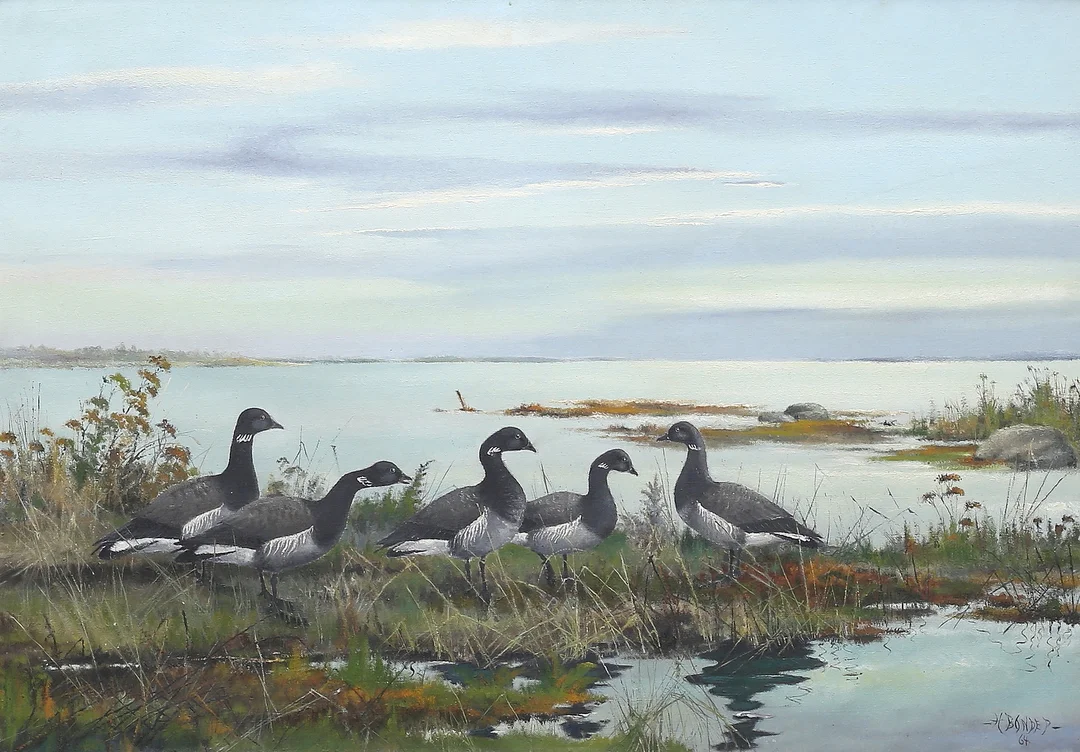 HARRY BONDE PETERSEN. Fågelmotiv, olja på duk, signerad H Bonde P, daterad 64. — Paintings — Auktionshuset Thelin & Johansson