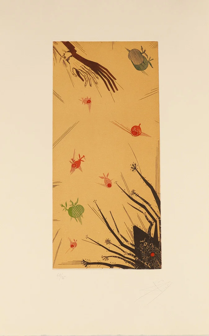 JOAN PONÇ. "violins, mà i escarabats" serie la metamorfosis de kafka. estampación al aguafuerte sobre papel. polígrafa obra gráfica. firmada y justificada a lápiz. 1978. — Engravings & Prints — Barcelona Auctions