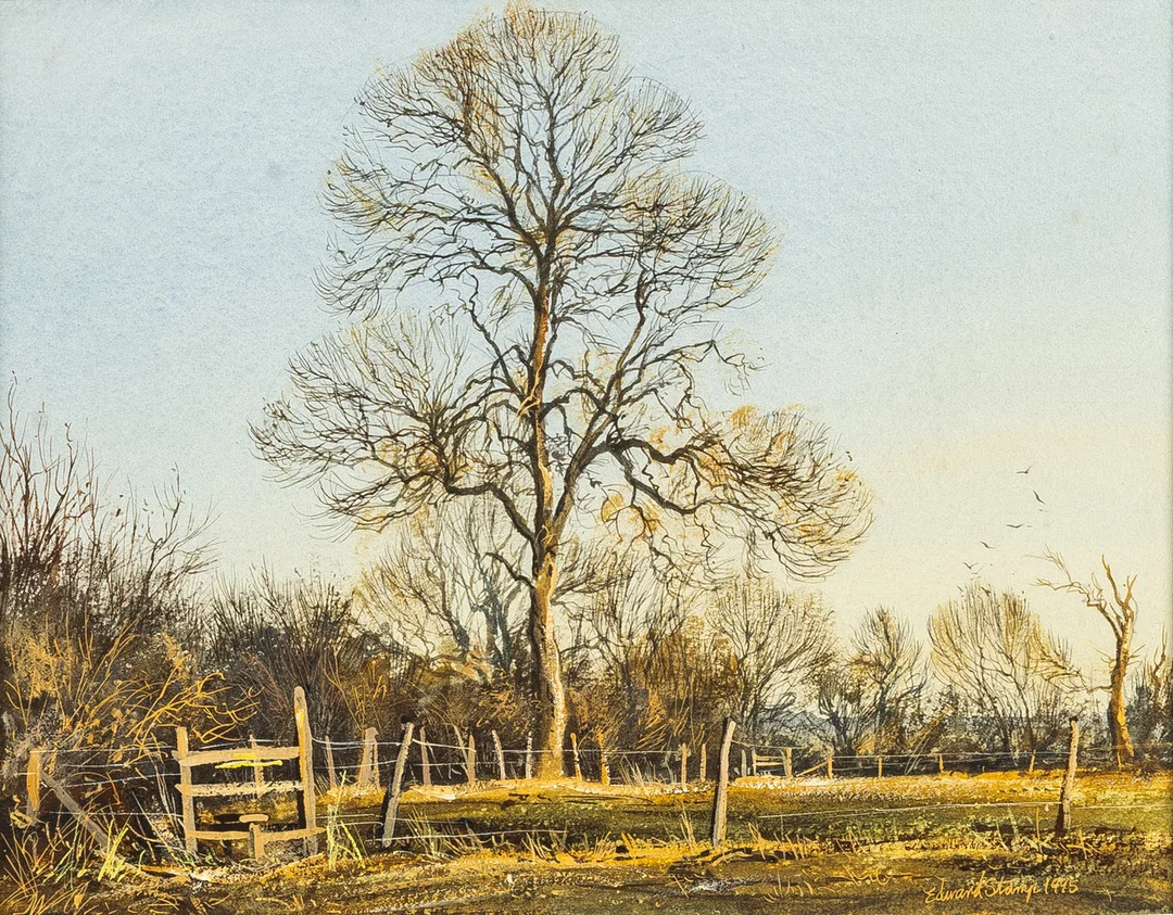 EDWARD STAMP (BRITISH, 1939-2015), ASH TREE, EARLY MARCH, WATERCOLOUR ON PAPER. — Paintings — Griffin’s Auctioneers
