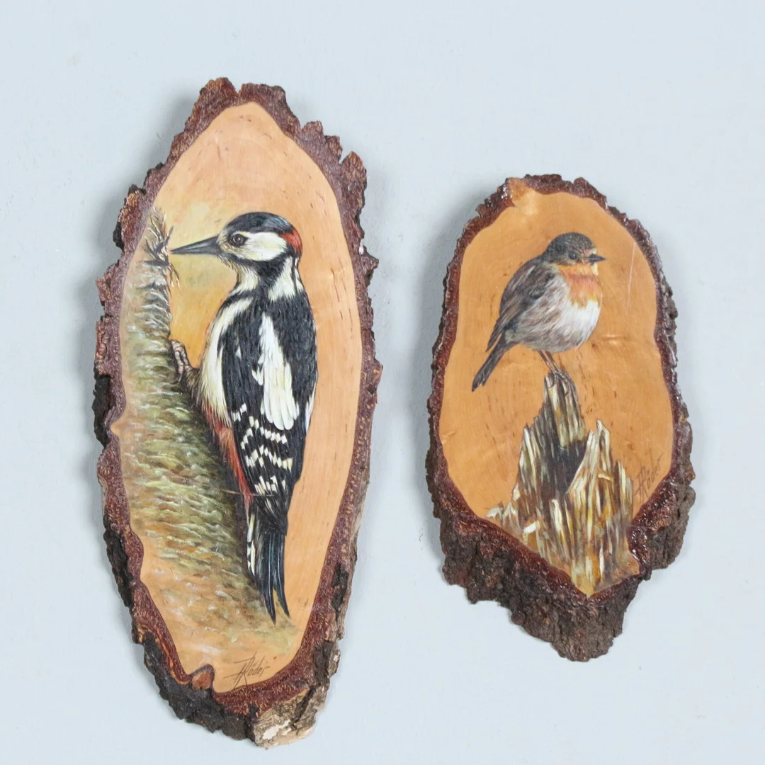 UNBEKANNTER KÜNSTLER. Zwei Ölbilder auf Baumscheibe, '' Rotkehlchen und Buntspecht ''. — Paintings — Stockholms Auktionsverk Düsseldorf/Neuss