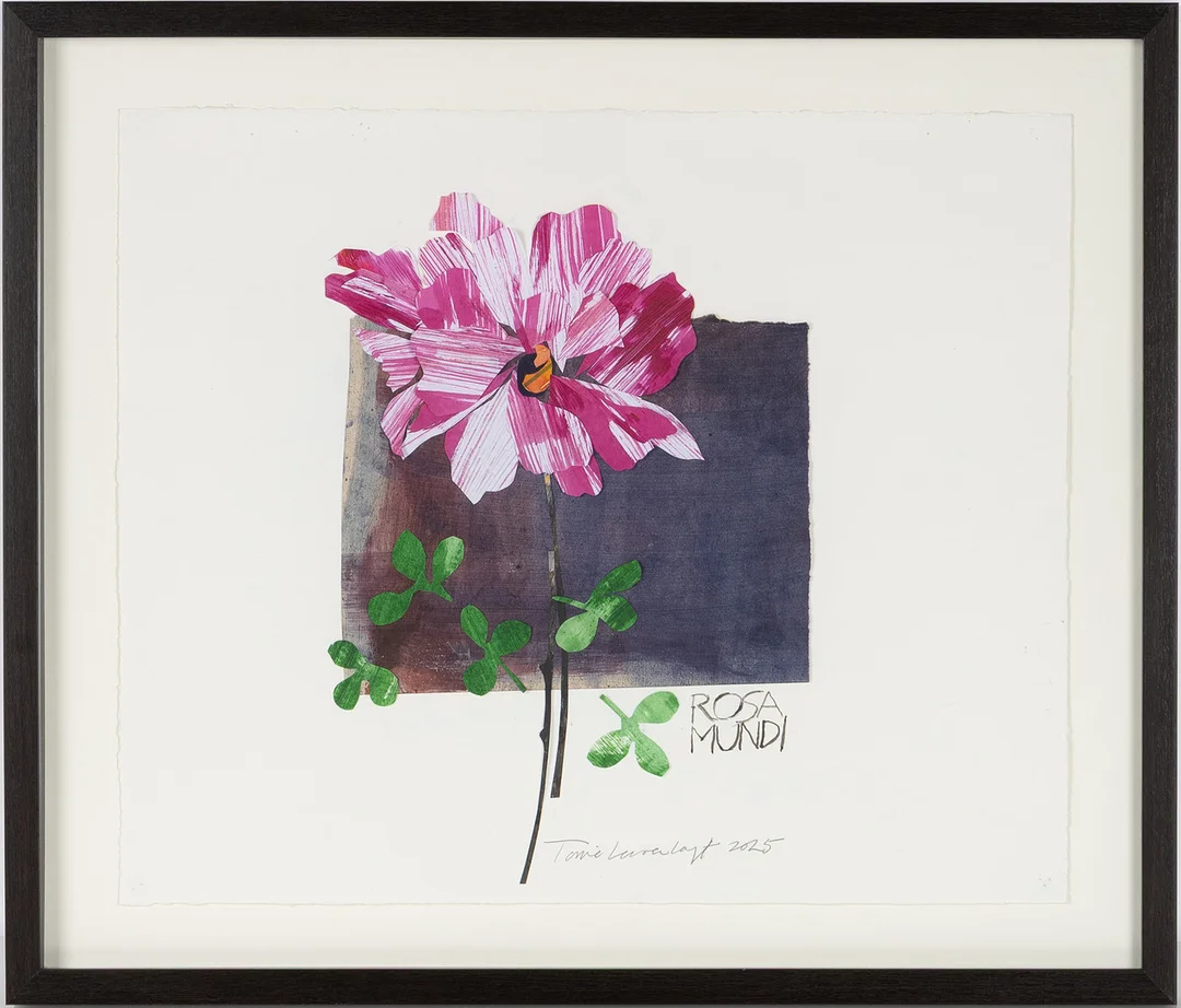 TONIE LEWENHAUPT (FÖDD 1937). "Rosa Mundi", collage, signerad och daterad 2025. Den brokiga, strimmiga ständigt föränderliga Rosa Mundi fanns redan på 1500-talet och är en favorit i Tonies trädgård och finns naturligtvis med i boken "Bakom Häcken". Medföljer bok "Bakom häcken". — Other — Stockholms Auktionsverk Helsingborg
