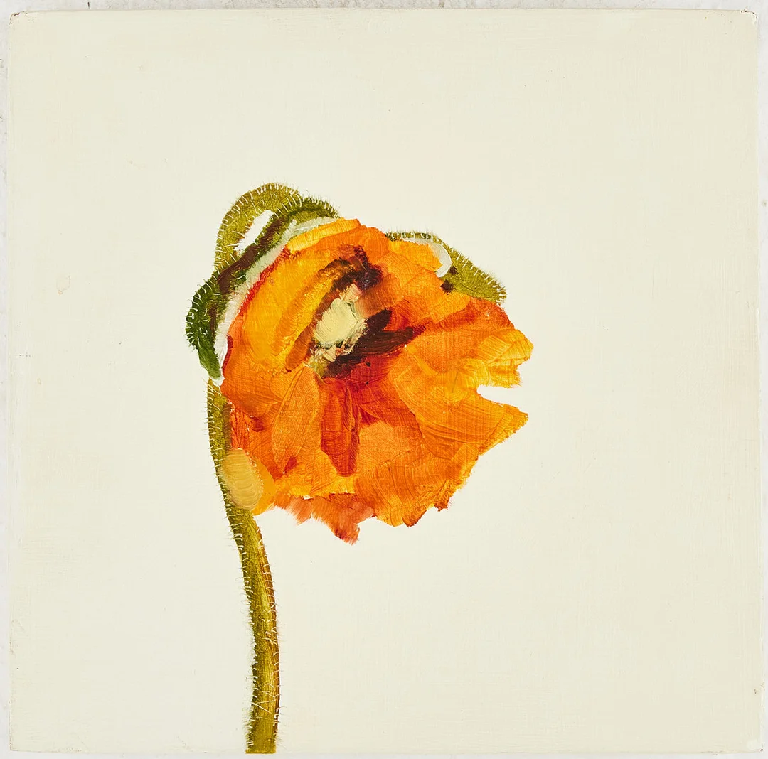 LINE BERGSETH (F. 1965). Valllmoblomma, olja på träpannå, signerad och daterad 1996 a tergo. — Paintings — Stockholms Auktionsverk Magasin 5