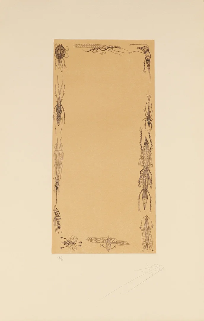 JOAN PONÇ. "kafka 18" serie la metamorfosis de kafka. estampación al aguafuerte sobre papel. polígrafa obra gráfica. firmada y justificada a lápiz. 1978. — Engravings & Prints — Barcelona Auctions