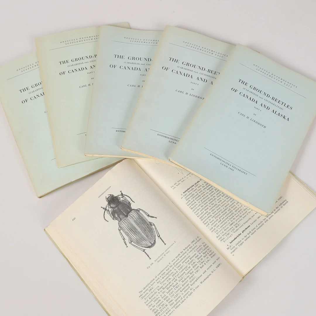 BÖCKER, 6 stycken, The Ground-beetles of Canada and Alaska, Carl H. Lindroth. — Books — Helsingborgs Auktionskammare