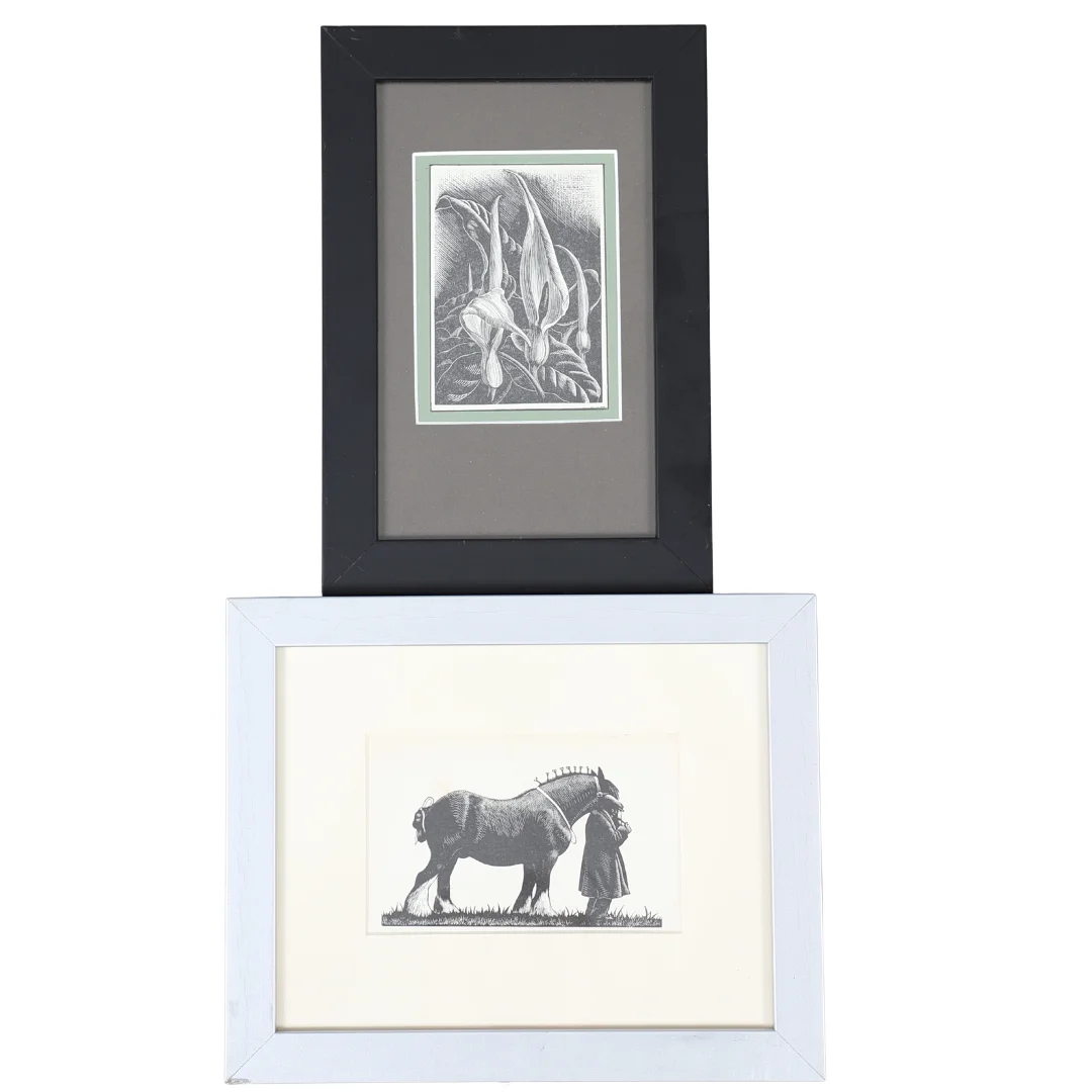 CLARE LEIGHTON (1898-1989). The Horse Show, 1936; Wild Arums, 1937. — Engravings & Prints — Lawrences Auctioneers