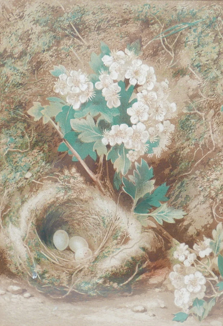 A CHROMOLITHOGRAPH AFTER WILLIAM HENRY HUNT. — Engravings & Prints — Batemans of Stamford