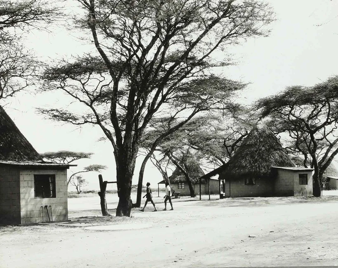 SVEN GILLSÄTER (1921-2001). fotografi, Tsavo East nationalpark, Kenya, signerad a tergo, 1900-talets mitt. — Photography — Hälsinglands Auktionsverk