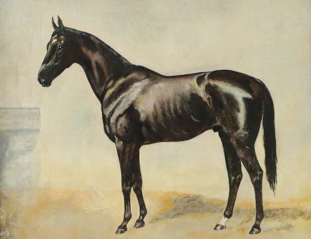 OKÄND KONSTNÄR. Häst, olja på duk, osignerad. — Paintings — Helsingborgs Auktionskammare
