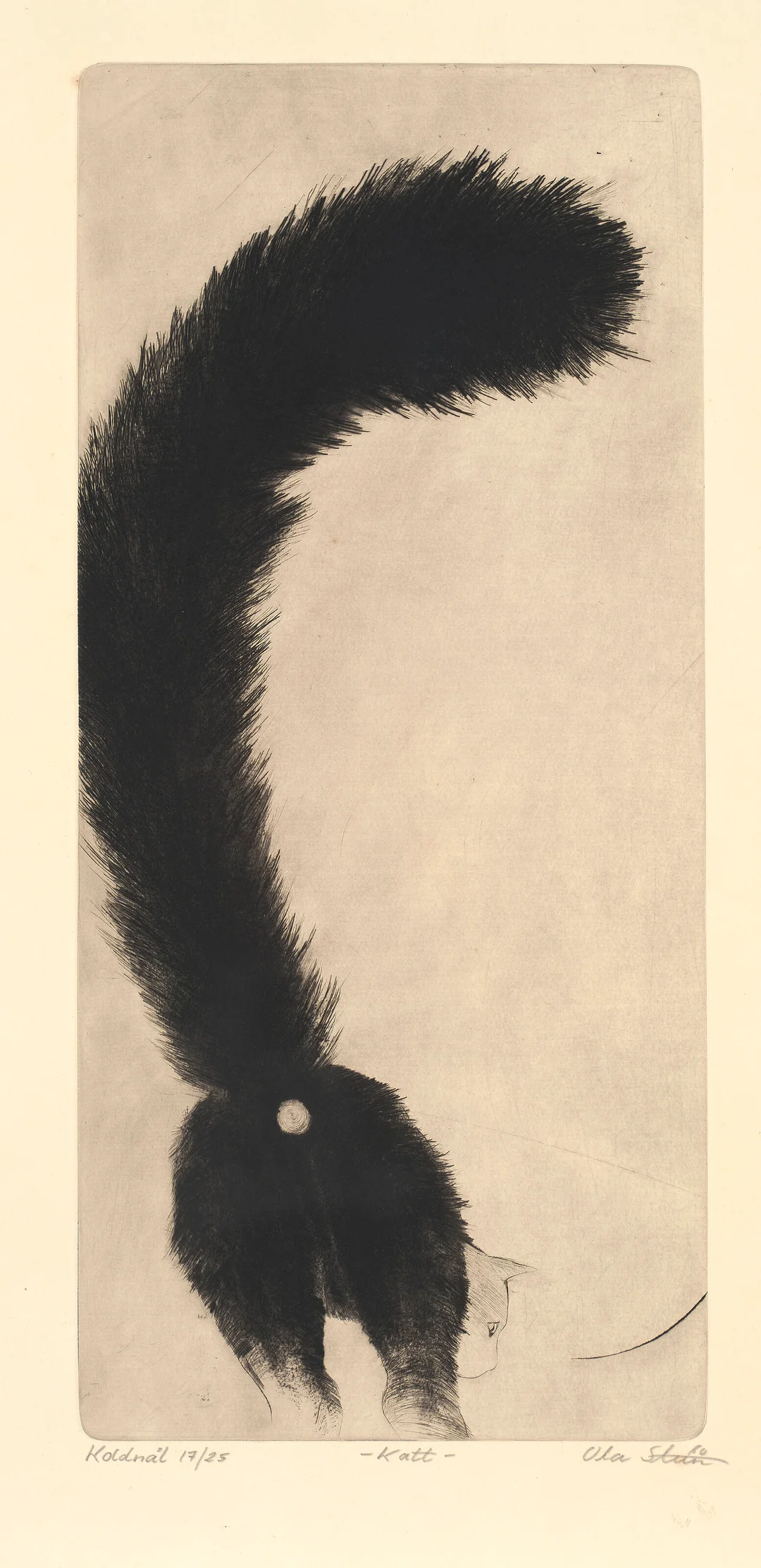 Steen, Ola — "Katt" 1980 — Kunst/Grafikk — Blomqvist