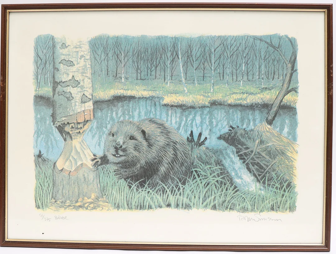TORBJÖRN SVENSSON. "Bäver", färglitografi, signerad och numrerad. — Engravings & Prints — Falun Auktionsbyrå