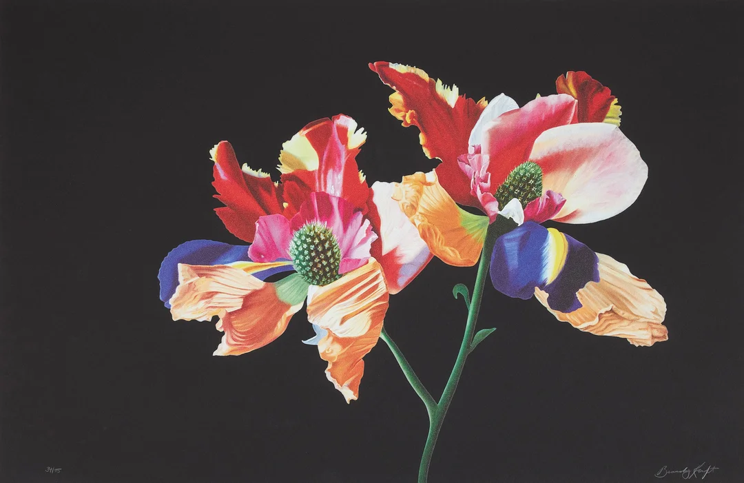 BRANDY KRAFT. Imagined flora, digitalt plantryck, signerad och numrerad 34/75. — Engravings & Prints — Stockholms Auktionsverk Sickla