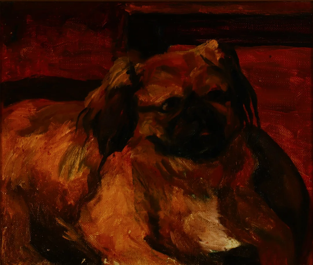 UBEKENDT KUNSTNER. Hundeportræt af Pekingeser, olie på lærred, usigneret, 1900 tallets første halvdel. — Paintings — Palsgaard Kunstauktioner